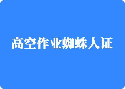 美女大鸡鸡高空作业蜘蛛人证